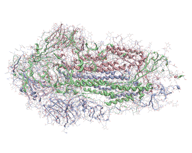 Example of the new protein cartoon ribbons in the COVID spike protein 6vxx